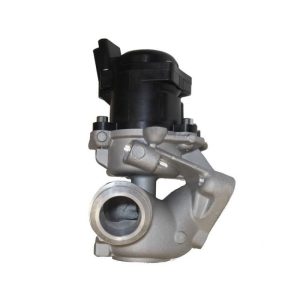 VANNE EGR (1.4 hdi, tdci) 1618.PF